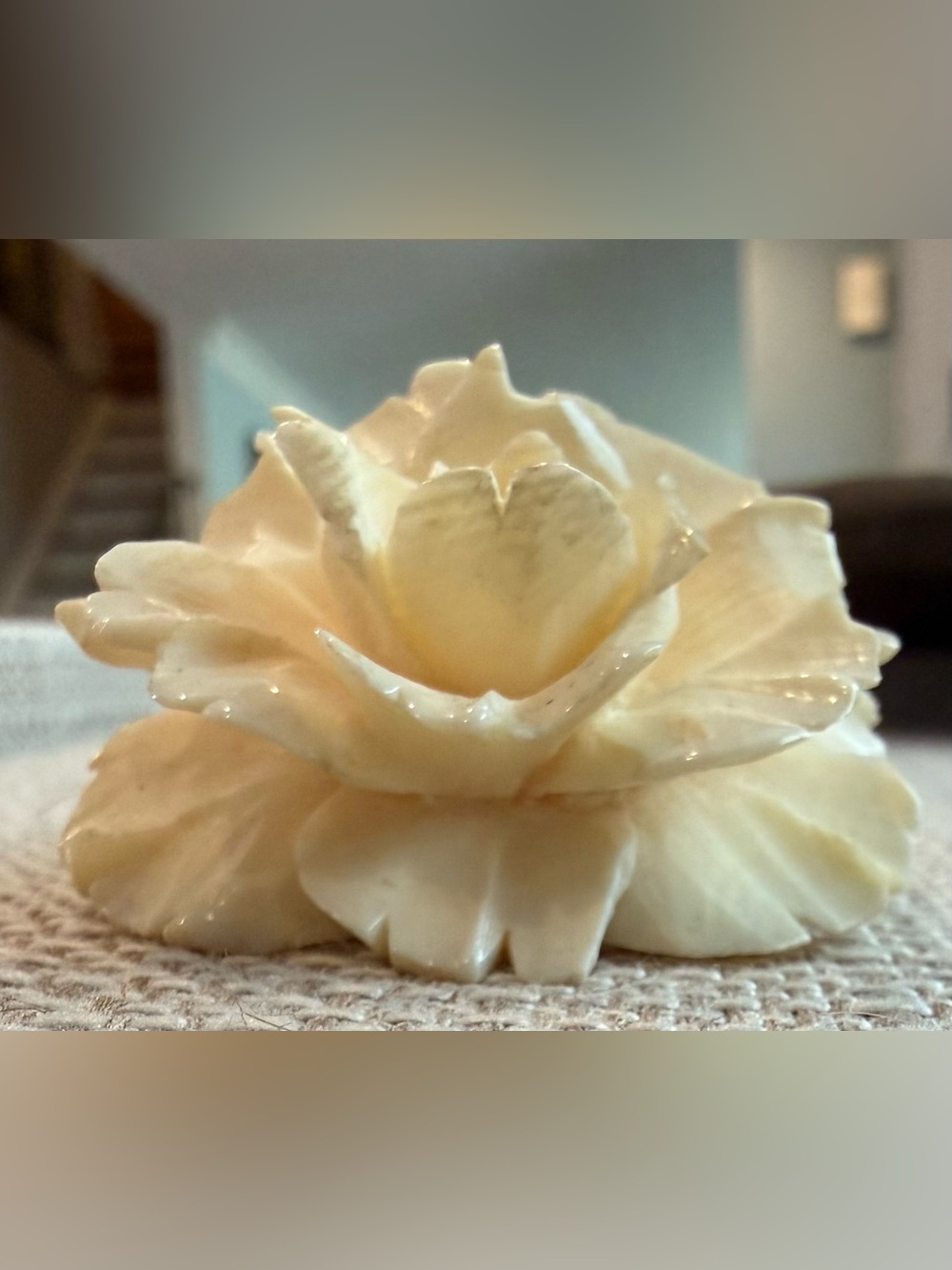 Carved Cream Rose Celluloid Very Vintage Brooch - Picture 4 of 14